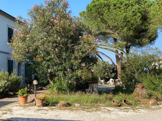 Isola D'Elba Casa Vacanze - Villa Portello - Magnetite - La Casina Rio Marina Εξωτερικό φωτογραφία